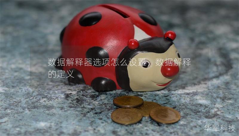 數(shù)據(jù)解釋器選項怎么設(shè)置，數(shù)據(jù)解釋的定義