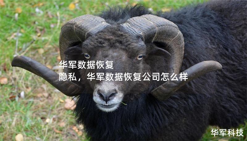 華軍數(shù)據(jù)恢復 隱私，華軍數(shù)據(jù)恢復公司怎么樣