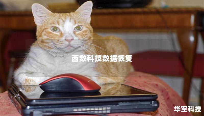 西數(shù)科技數(shù)據(jù)恢復(fù)