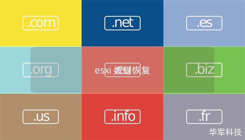 esxi 數(shù)據(jù)恢復(fù)