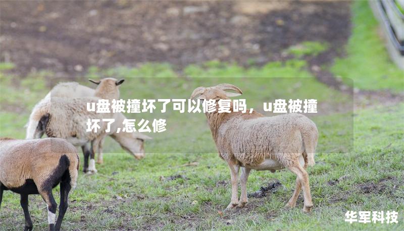 u盤被撞壞了可以修復(fù)嗎，u盤被撞壞了,怎么修
