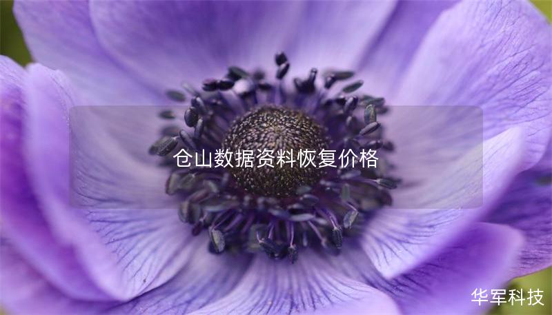 倉山數(shù)據(jù)資料恢復價格